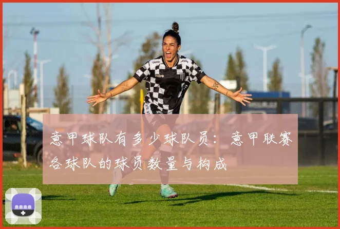 意甲球队有多少球队员：意甲联赛各球队的球员数量与构成