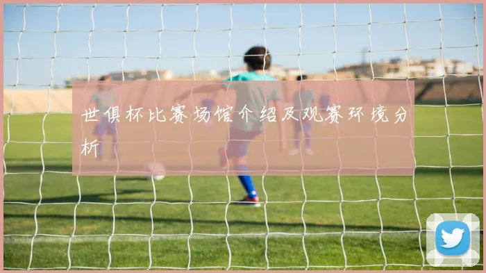 世俱杯比赛场馆介绍及观赛环境分析