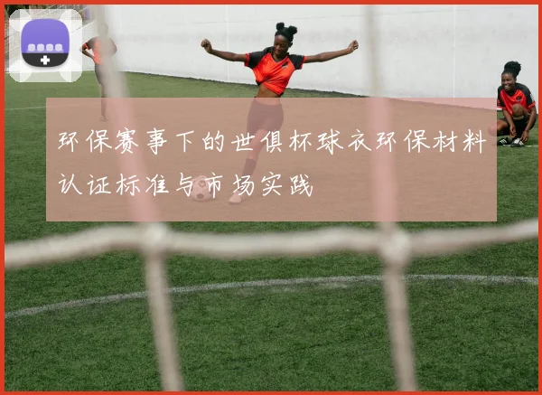 环保赛事下的世俱杯球衣环保材料认证标准与市场实践