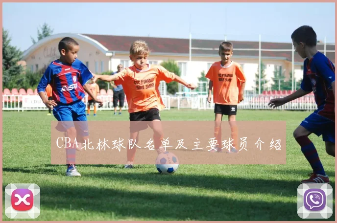 CBA北林球队名单及主要球员介绍