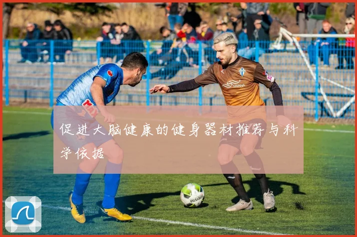 促进大脑健康的健身器材推荐与科学依据